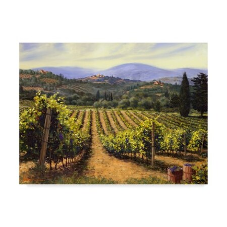 Trademark Fine Art Michael Swanson 'Tuscany Vines' Canvas Art, 24x32 WAG00273-C2432GG